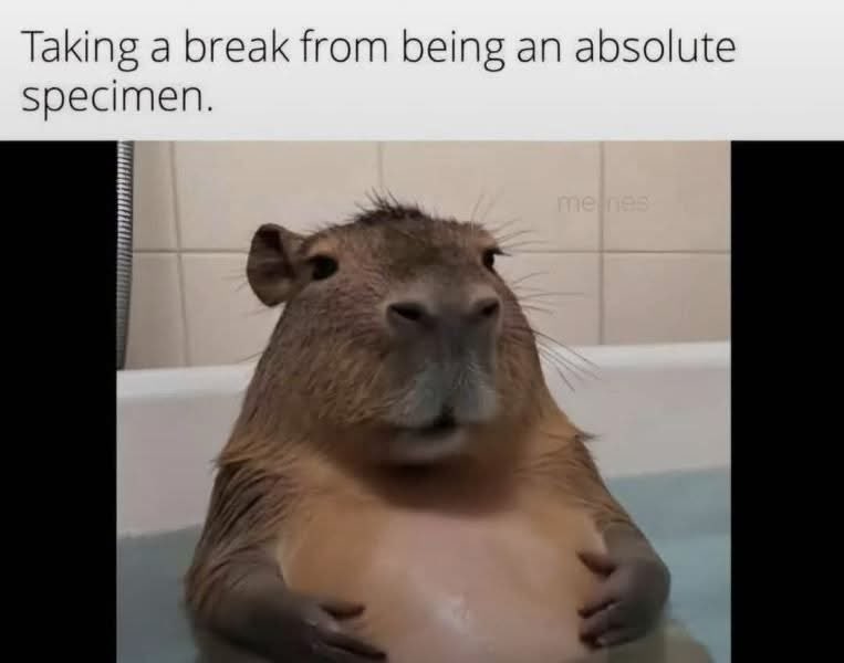 DuchessOfMeme's tweet image. 