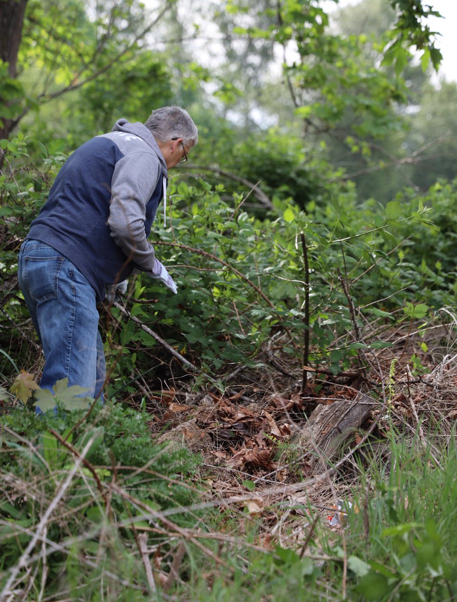It's World Nature Conservation Day! This day emphasizes preserving a healthy environment and natural resources, ensuring a stable and healthy society. 

The primary goals include saving endangered plants and animals and maintaining the integrity of various components of nature!