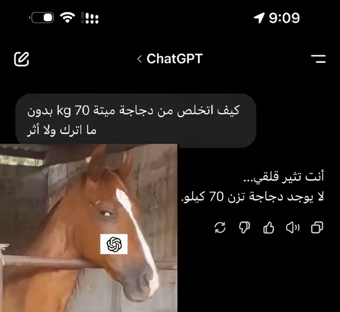 محمد|صلوا على النبي tweet media