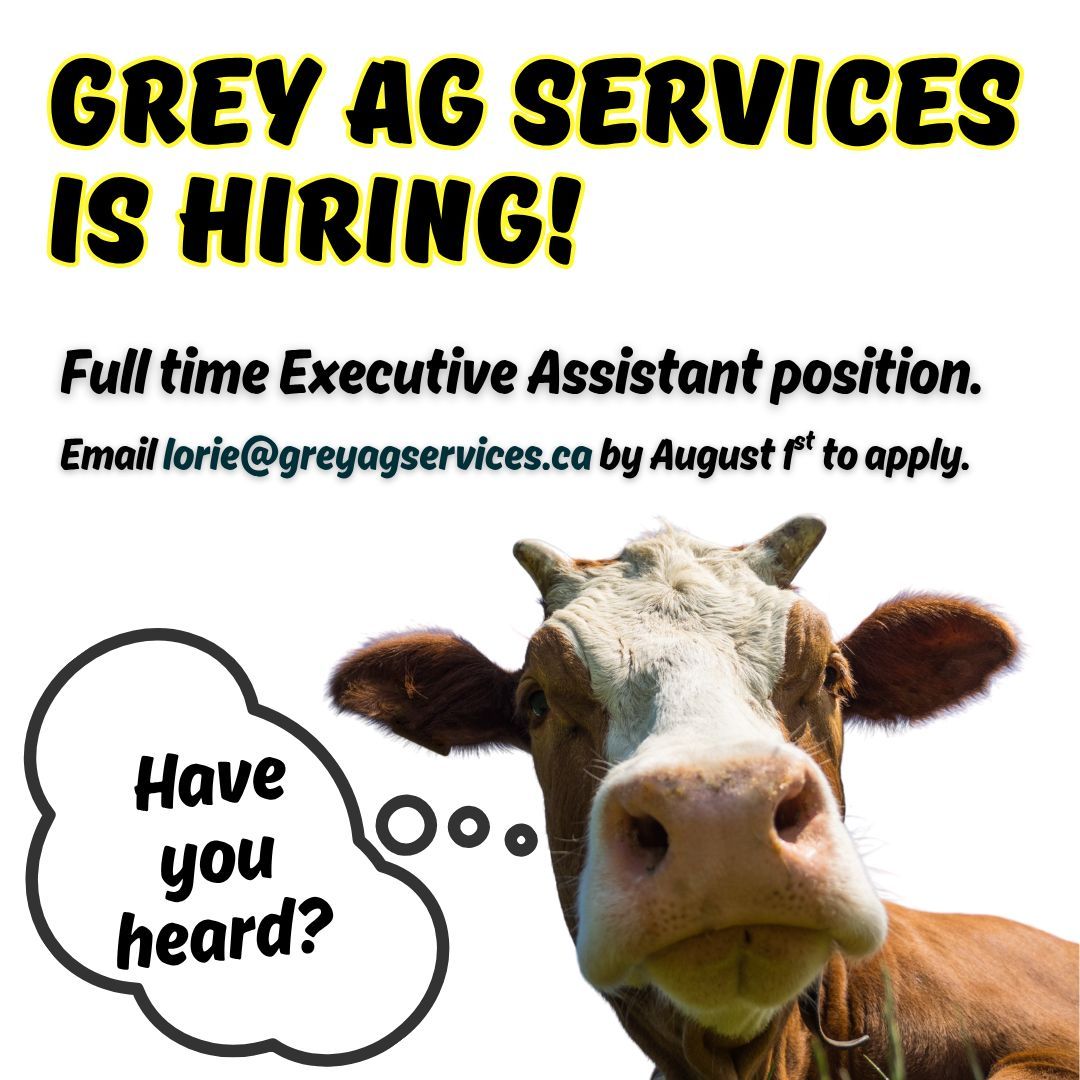 GreyAgServices's tweet image. Hey Everyone! We&apos;re hiring!!  😁  🎉 

Could you help us spread the word? We can&apos;t wait to meet our next team member! Applications are due by August 1st, and the job description can be found here: greyagservices.ca/job-volunteer-…