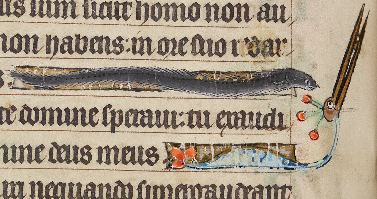Good morning, friends. I've got a rather busy day, so I'm afraid I must be quick with the eel post.

But don't worry, friends...I won't leave you eel-less. Please enjoy this wonderful interlinear eel and heron. Perhaps they're having a conversation about the evils of lightning.