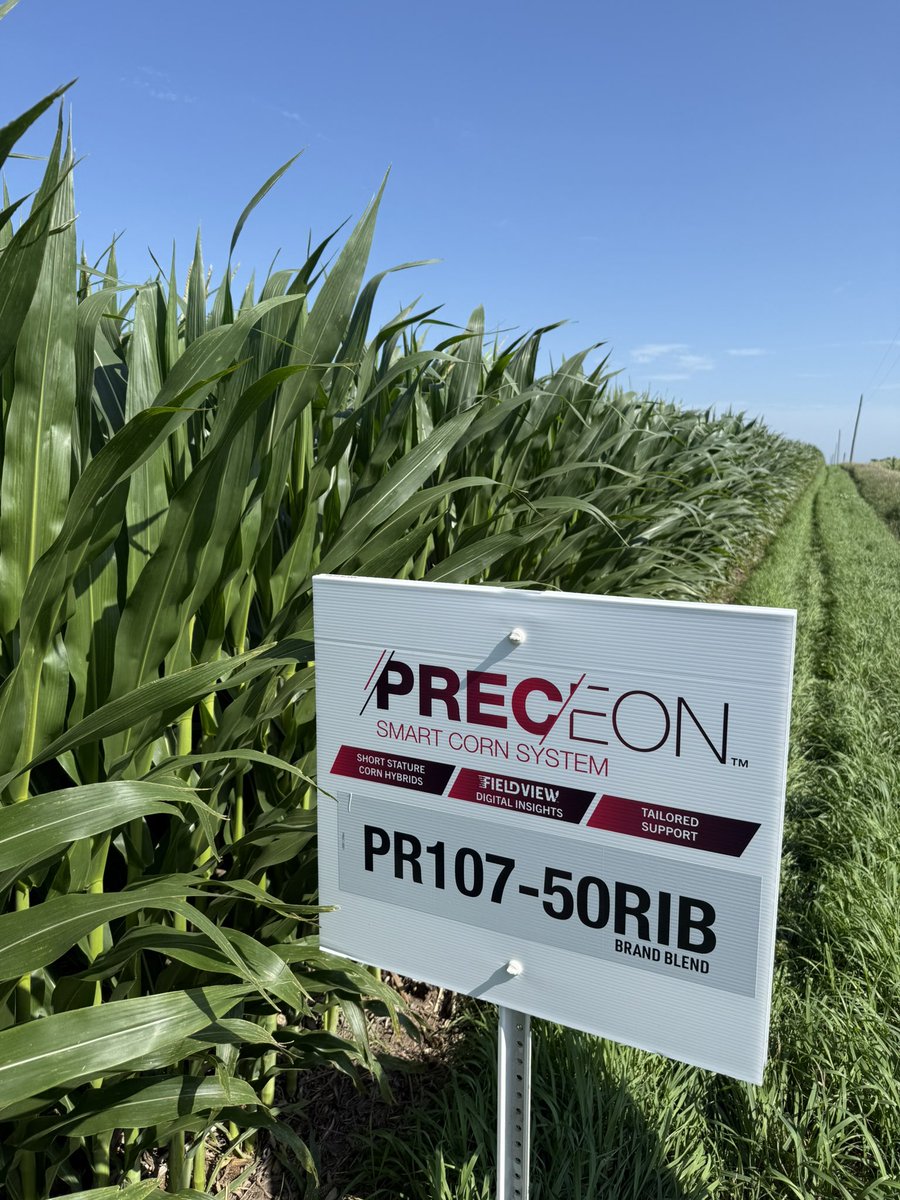 🌽 The future of corn is here.
Built smarter. Grown stronger. Delivered with confidence.
Preceon™ Smart Corn is changing the game — and we’re just getting started. #SmartCorn #Preceon #DEKALB