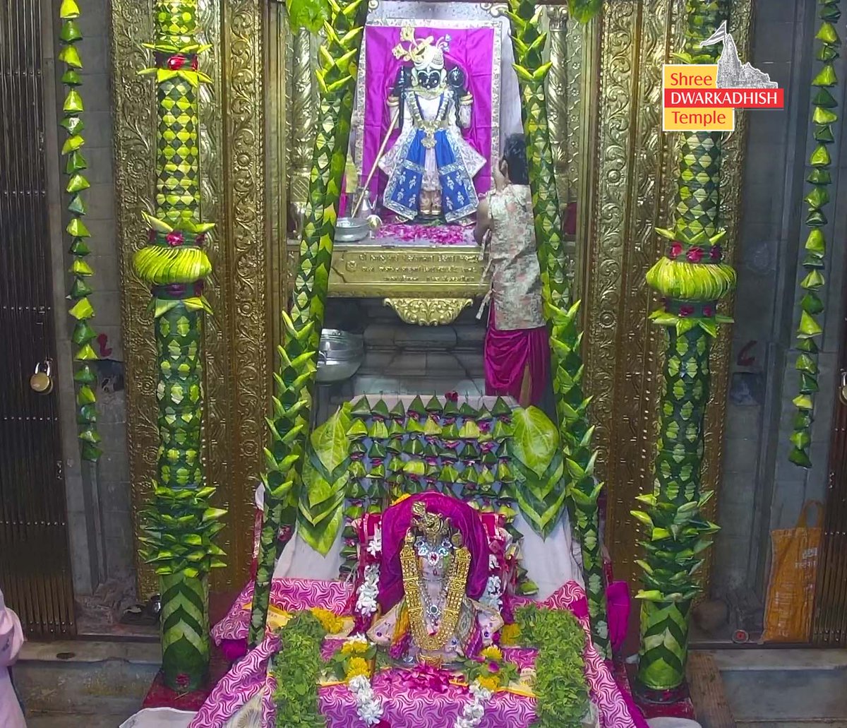 DwarkaOfficial's tweet image. राजाधीराज द्वारीकाधीशजी के हिंडोला दर्शन एवं संध्या दर्शन 🙏🏻
श्री द्वारकाधीश मंदिर द्वारका,गुजरात
दिनांक :- 28/07/2025 सोमवार                          

#dwarka #sandhyaaarti 
#shreedwarkadhishjagadmandirdwark