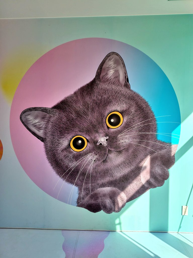 ミャクミャク様とマーリーちゃん
グリ予定ではなく、いつか会えたらいいなーって思ってたから嬉しさ倍増💕
たぶんこれでもスムーズに尚且快適に入場出来てるけど入るのに少し面倒な万博………………だけど今日行って良かった✨🥹✨