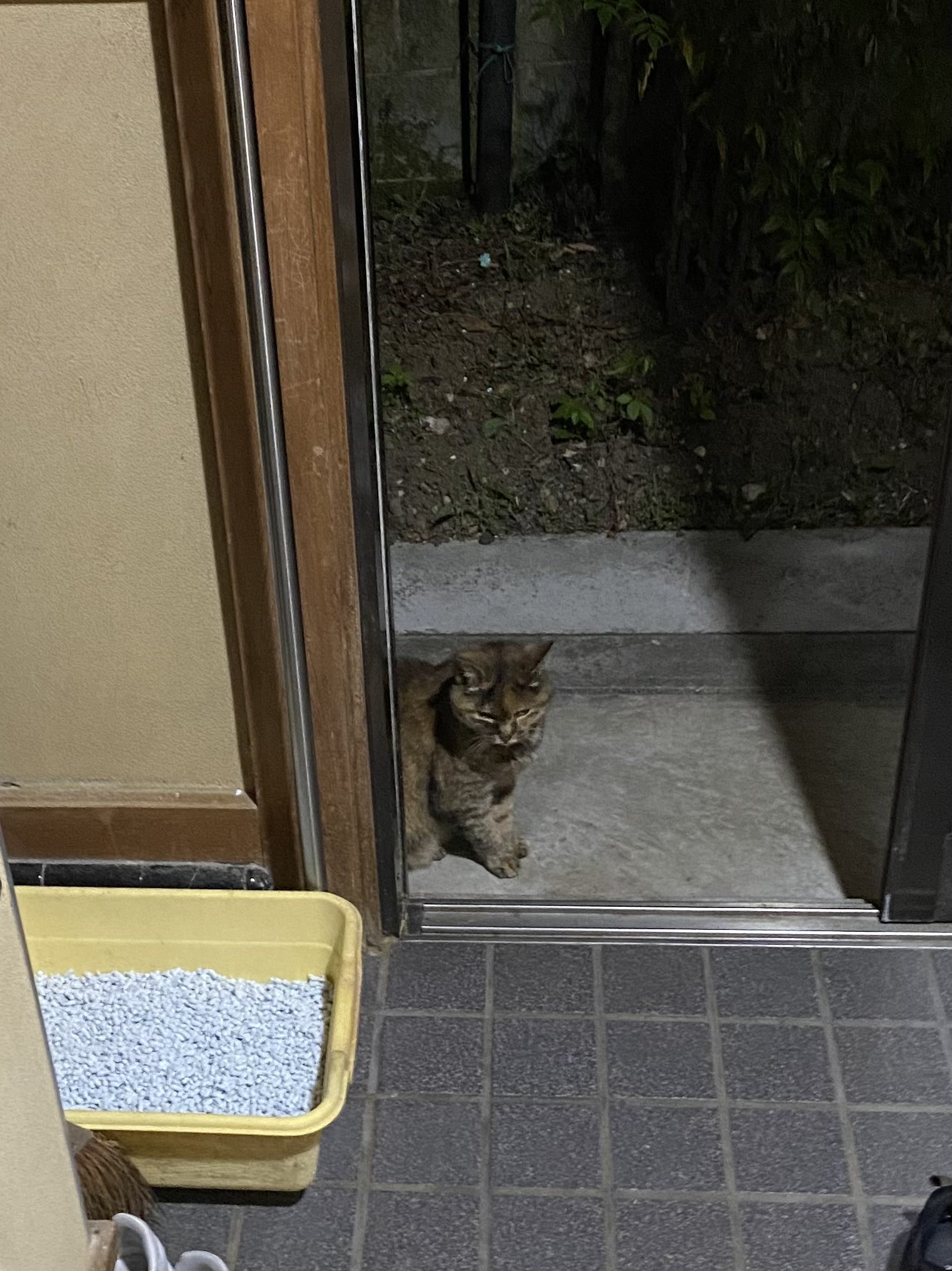 ねこ先輩 on X: 