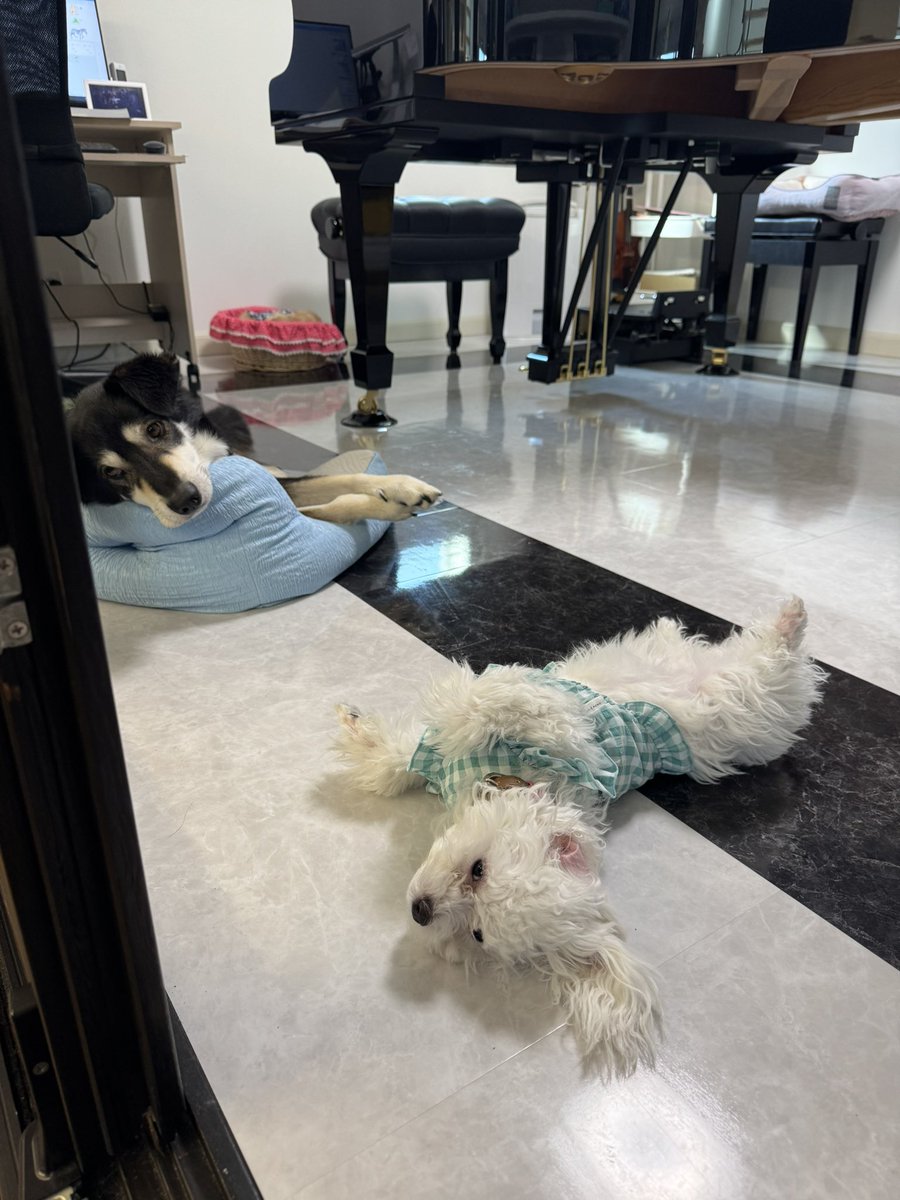 3人でお昼寝💕

はなもいるよ😊