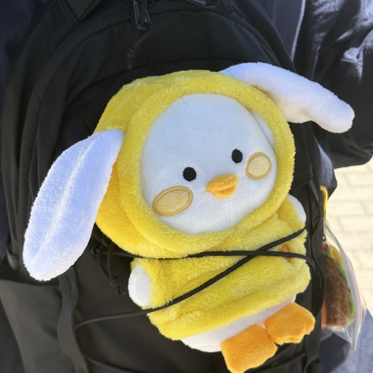 starlixxt's tweet image. 여수 뭉덕