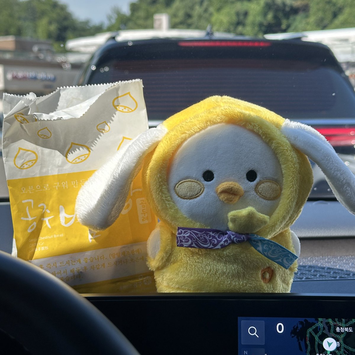 starlixxt's tweet image. 여수 뭉덕