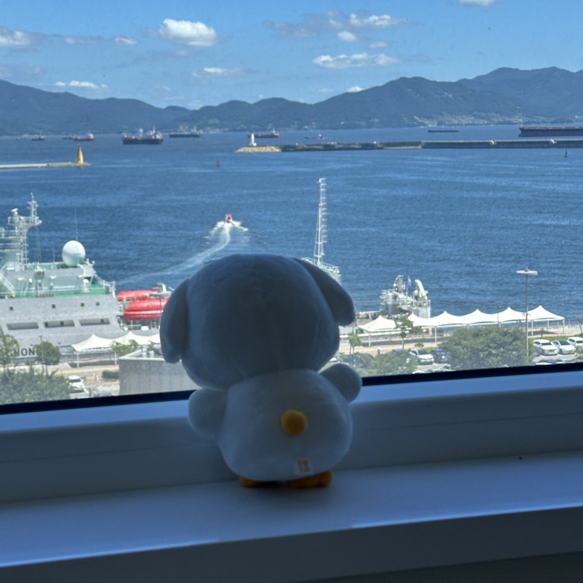starlixxt's tweet image. 여수 뭉덕