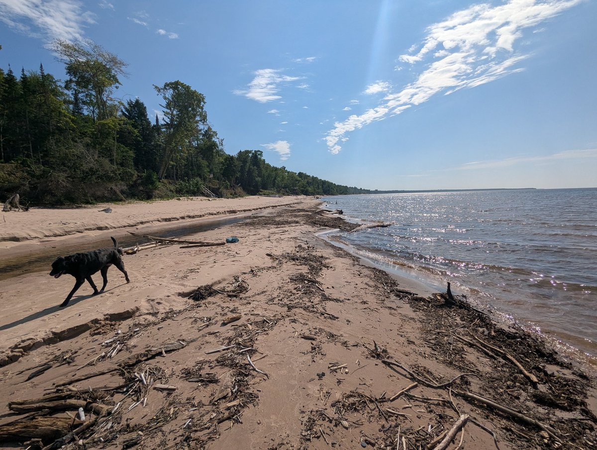 tessfalor's tweet image. Thanks everyone for the happy birthdays!
I'm in the @UpperPeninsula of Michigan, where I grew up.
We're headed to stay at a cottage that my grandpa built over 50 years ago on Lake Superior that doesn't have running water, cell service, a landline, or cell service.
See ya in…