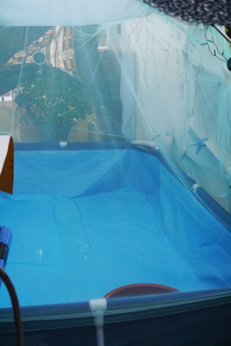 hiviring's tweet photo. 집캉스 하실분 🧃🏡💧 https://t.co/v7NM33MlAC