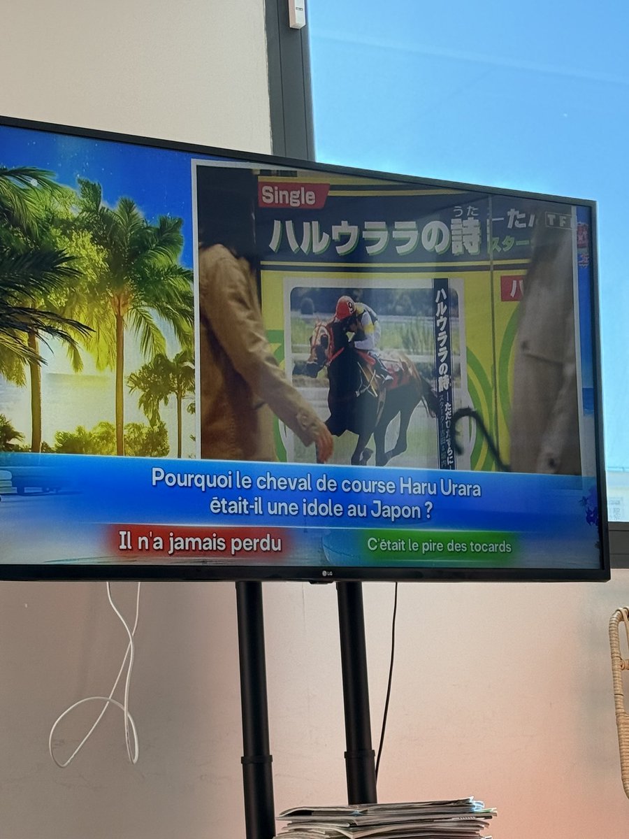 Auchericou (@auchericou) on Twitter photo Haru Urara mentioned at the biggest French tv ! (Par contre parlez bien) <a href="/JL_Reichmann/">Jean-Luc Reichmann</a> Haru Urara mentioned at the biggest French tv ! (Par contre parlez bien) <a href="/JL_Reichmann/">Jean-Luc Reichmann</a>