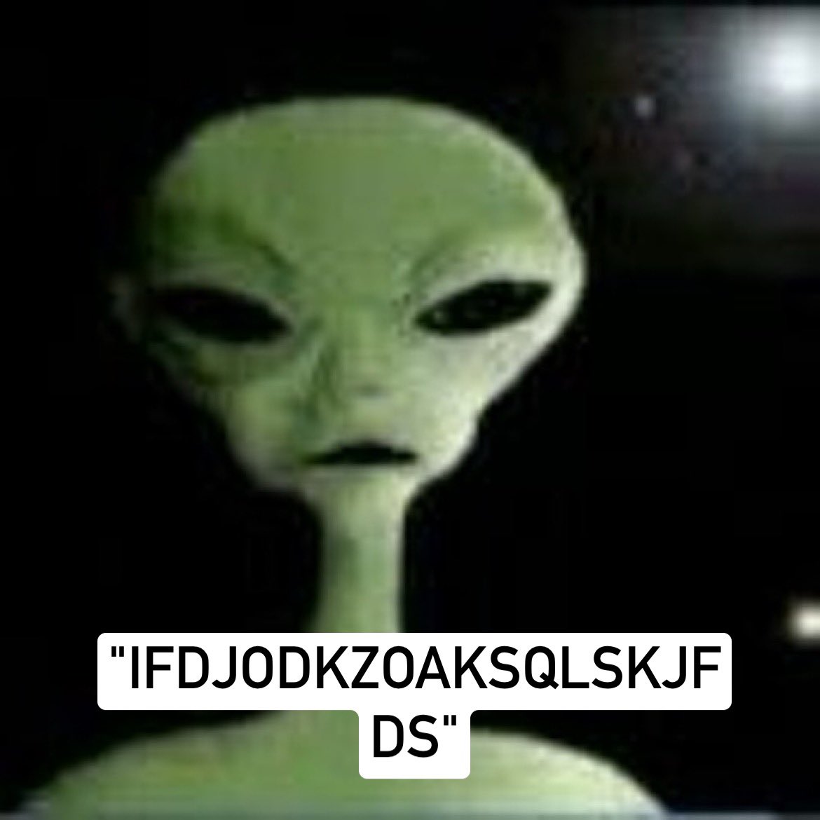DZ D'ARRAKIS tweet media