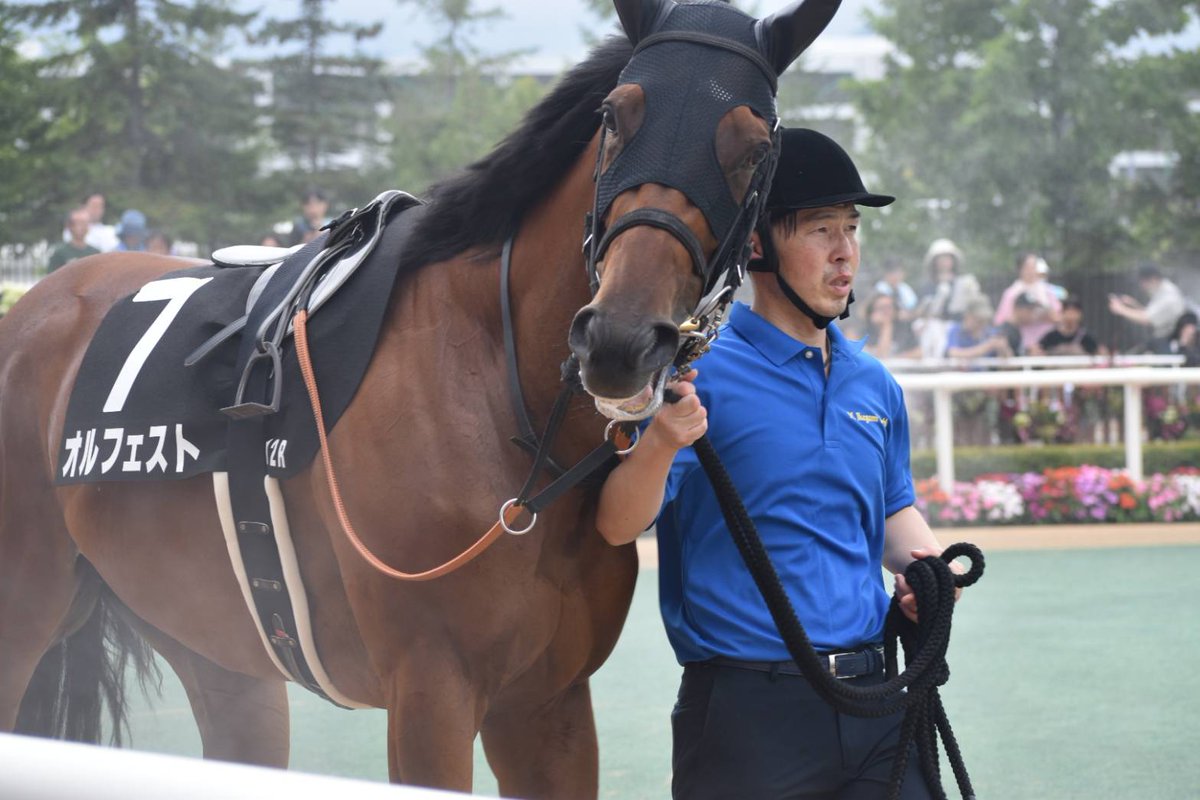 yusukeforever26's tweet image. 昨日はオルフェストが札幌競馬場で
走ってくれたので応援に行きました🐴
オルフェストももう5歳、引退も遠く
ないと思うので顔見れてうれしかった
です😊。7着でしたがここまでいつも
元気に走ってくれて感謝です🙏