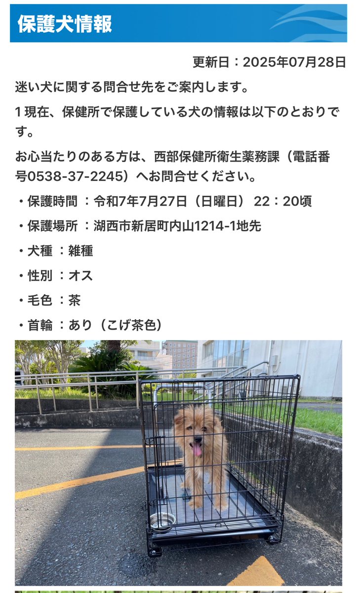 livraison1's tweet image. #湖西市 #保護犬 情報
心当たりの方は以下へ
飼主さん見つかると良いですが🥺
dlvr.it/TM8JKj