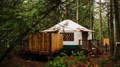 doughboywrites's tweet image. Our town has no doctor. A traveling healer visits my yurt when illness strikes. He examines my story and warns me “the diaristic impulse is like ptosis. Your field of vision narrows. You mistake the back of your eyelid for the world. Your prose droops.” Advice as strong medicine