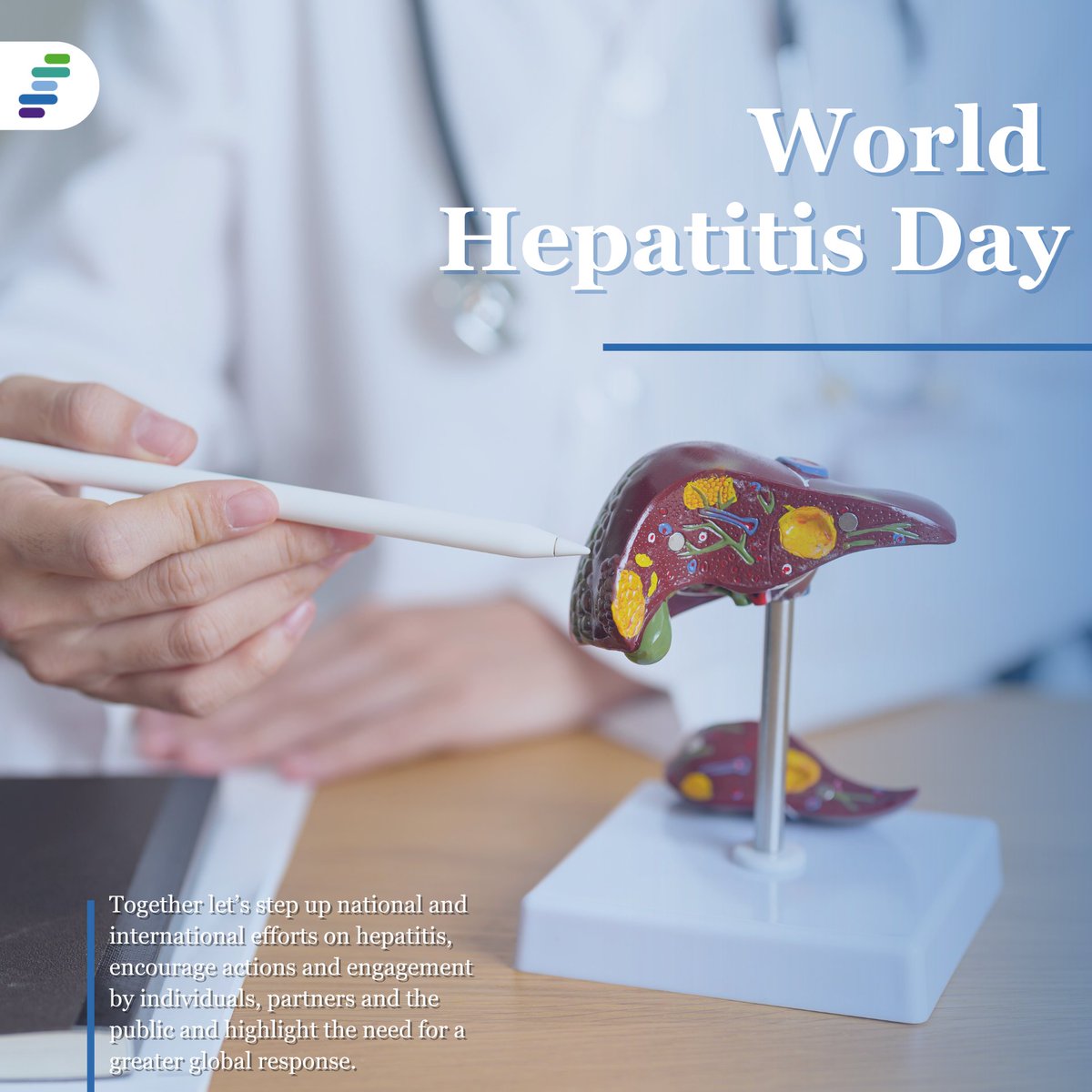🧬 World Hepatitis Day: Together Against Hepatitis
Hepatitis impacts millions, but with awareness and research, we can bring hope to those affected. Let’s work toward prevention, understanding, and better treatments.
#WorldHepatitisDay #HepatitisAwareness #NordicBiosite