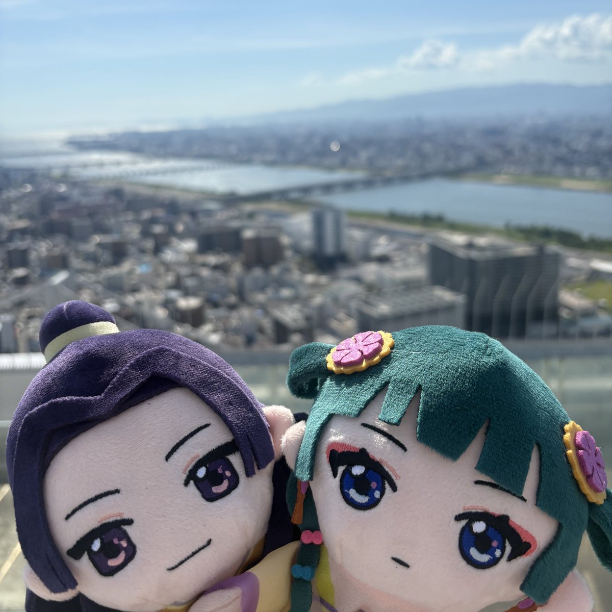 croissantchat's tweet image. 空中庭園を空中散歩してきた💜💚