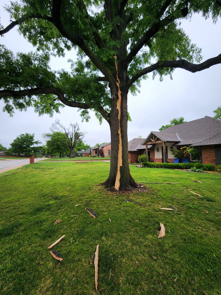 OreboundImages's tweet image. Remembering that time when #lightning likely sent a whole bunch of squirrels to Jesus after striking a tree near our AirBnB joint north of OKC 😂😱⚡️
#storms #lightningstrikes