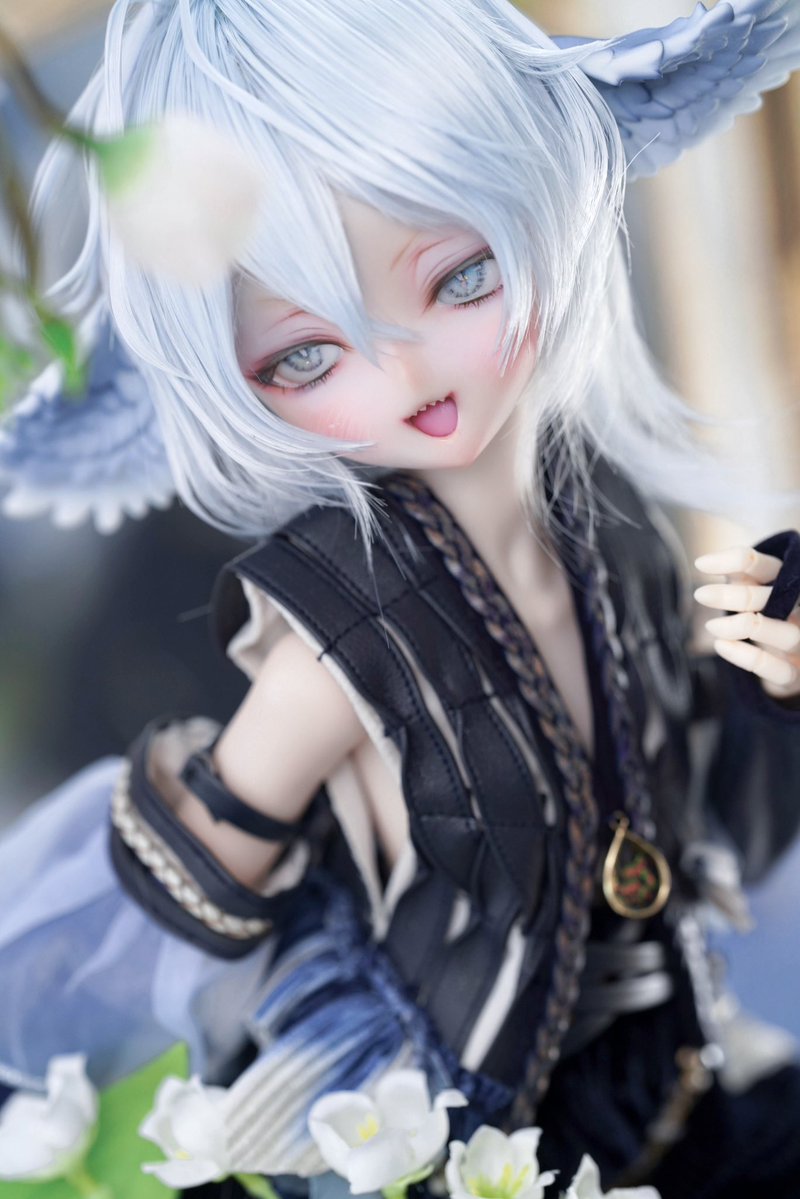 sealand1995's tweet image. 🪽✨