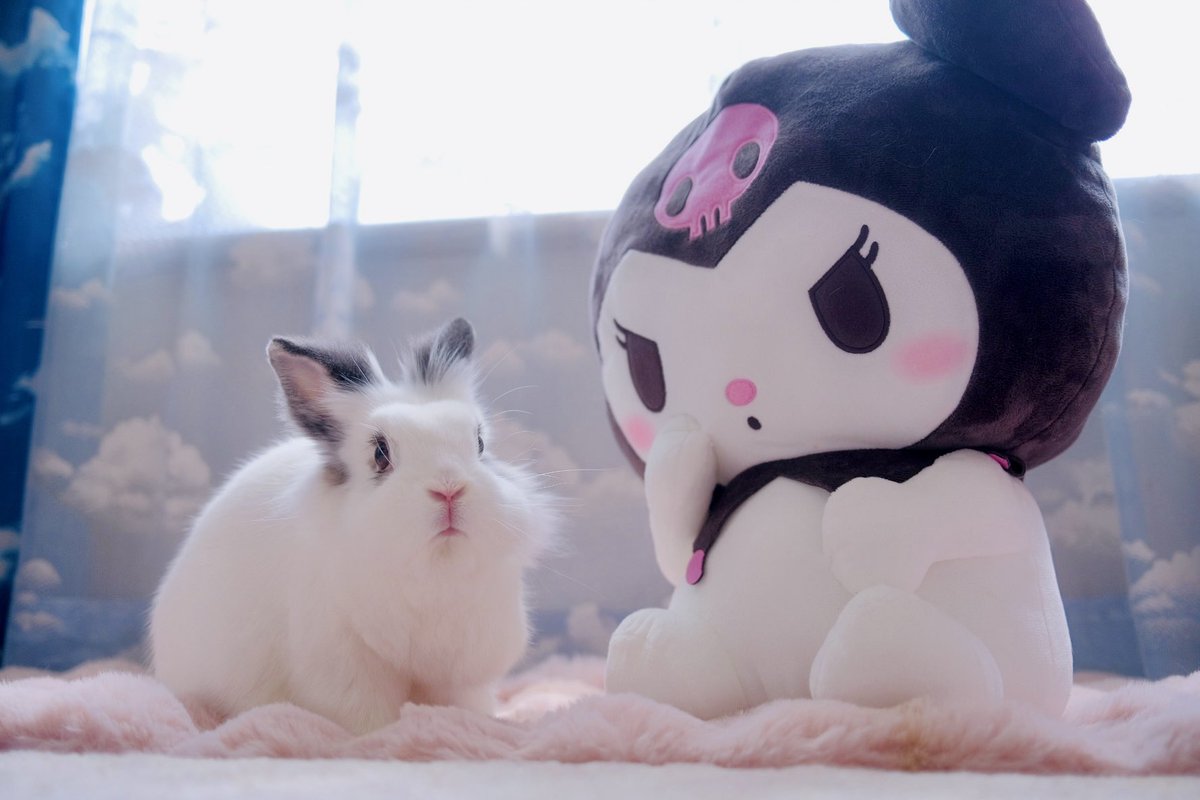 lapuchobimama's tweet image. あたいがリアルクロミだよ👿💕