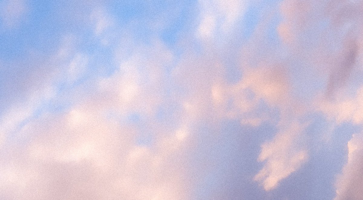 0_side_813's tweet image. ββββββββ¦
β β β β β β β β β β β β β β‘ 99%