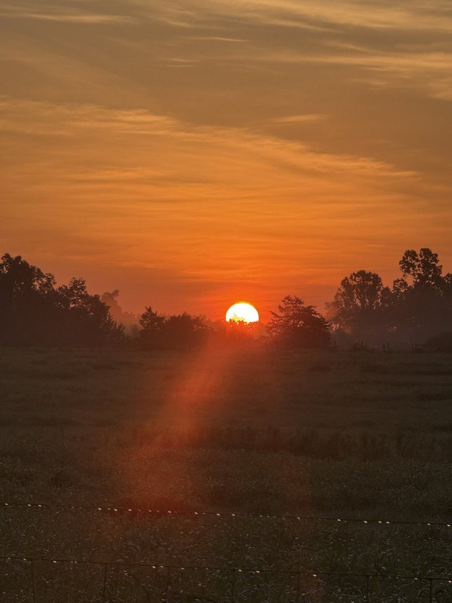 Good morning friends, I hope your day goes good. ☀️💥❤️