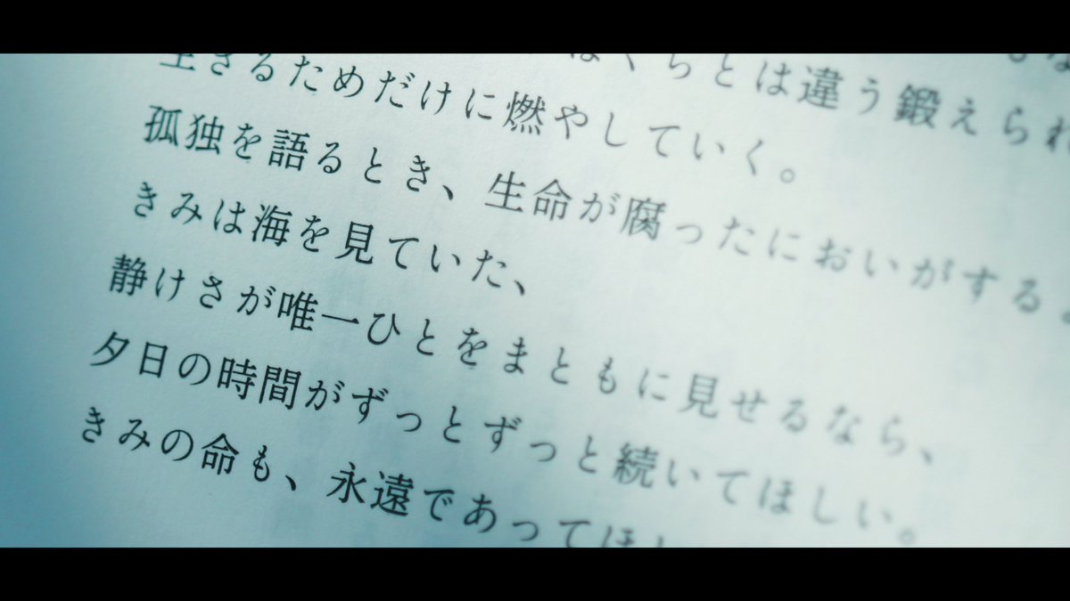 Takano_Shiho's tweet image. 今や不在のうつくしい季節のこと