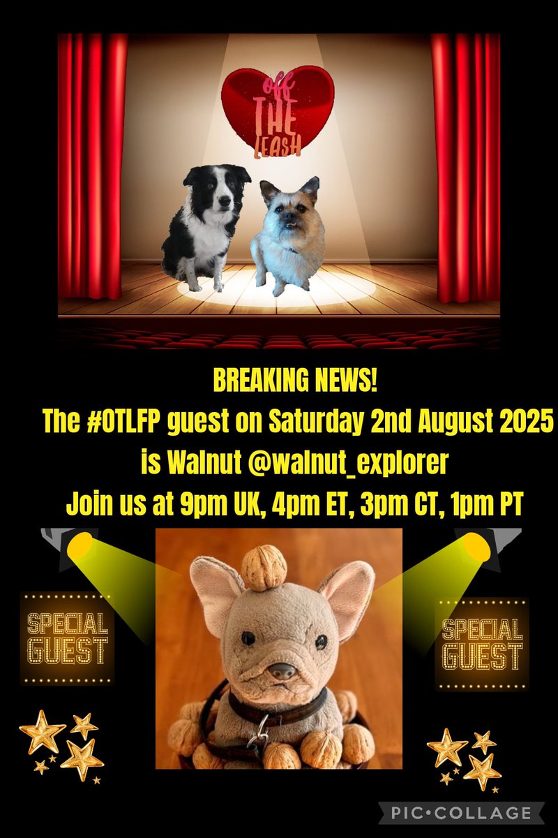Pixie💔😭Millie💔Moose💔Fancy💔Wickett💔Stan😭 (@pixie_tooth) on Twitter photo Join us Saturday 4pm ET 3pm CT 2pm MT 1pm PT UK 9pm
Search & follow #OTLFP to join in all the fun! All are welcome! 😀
@maxie1004eddy07
<a href="/oscar66932016/">LIEUTENANT OSCAR 🐶CARRI👧 xxx💙</a>
@nightbird7115
@jethrokitty
<a href="/sherfordbear/">Dee H. Dodgson 🇺🇦</a>
@rainey1louis
@socal_andie
<a href="/CancerDoggy/">I is Jasper. Here in Hartsons honour ❤️</a>
<a href="/parsleysmum/">Ollie the Pappy & Cleo Kitty</a>
@Mayleepup Join us Saturday 4pm ET 3pm CT 2pm MT 1pm PT UK 9pm
Search & follow #OTLFP to join in all the fun! All are welcome! 😀
@maxie1004eddy07
<a href="/oscar66932016/">LIEUTENANT OSCAR 🐶CARRI👧 xxx💙</a>
@nightbird7115
@jethrokitty
<a href="/sherfordbear/">Dee H. Dodgson 🇺🇦</a>
@rainey1louis
@socal_andie
<a href="/CancerDoggy/">I is Jasper. Here in Hartsons honour ❤️</a>
<a href="/parsleysmum/">Ollie the Pappy & Cleo Kitty</a>
@Mayleepup