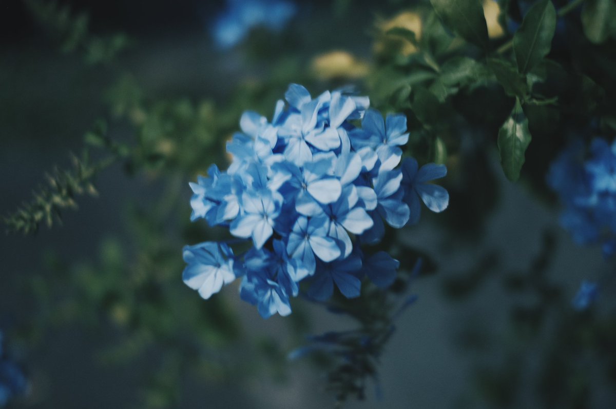 83saw's tweet image. 