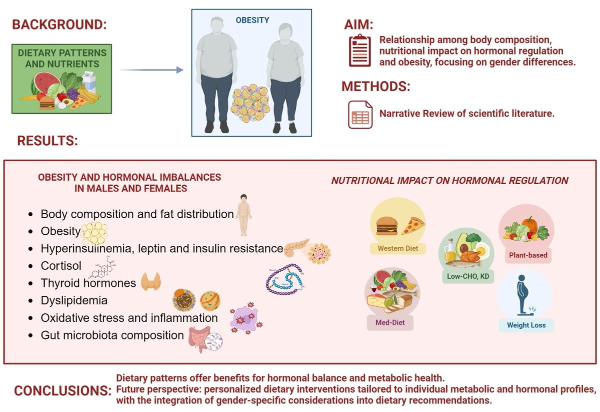 Nutrients_MDPI's tweet image. #mdpinutrients Editor’s Choice Articles🔍
🛎️Welcome to this paper, &quot;Obesity, Dietary Patterns, and Hormonal Balance Modulation: Gender-Specific Impacts&quot; by Elisa Mazza et al. 
👉Link: mdpi.com/2072-6643/16/1…