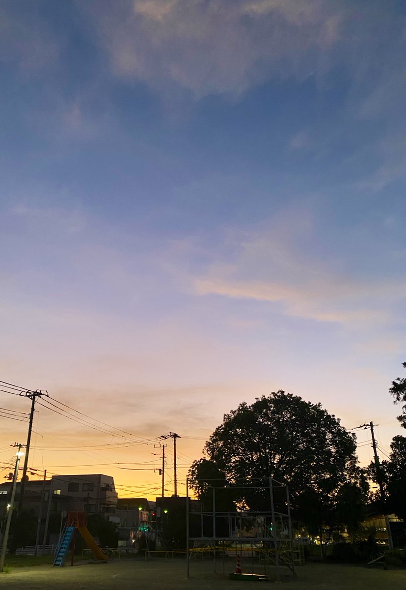 nishichibakaede's tweet image. 夕映えはあんず色。