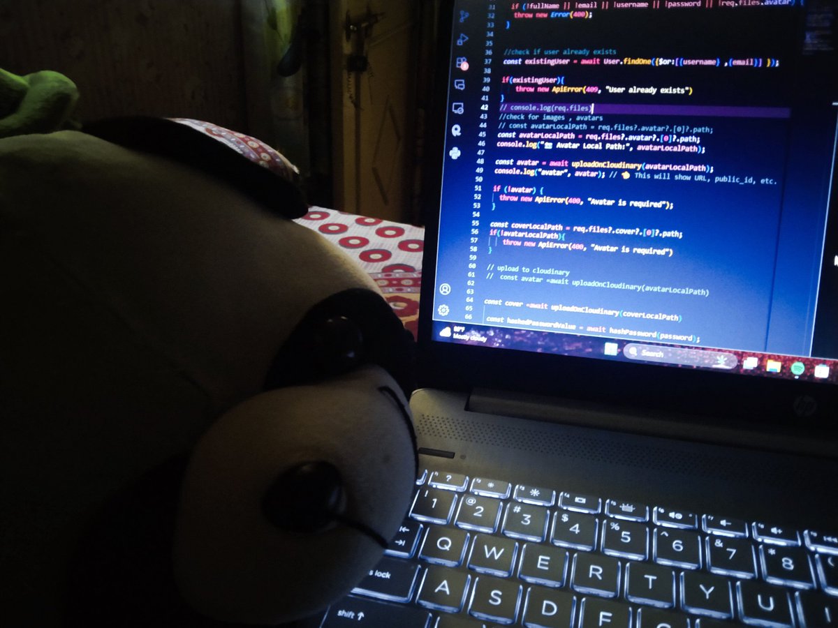 Palakonweb's tweet image. Its me , my panda 🐼 and some javascript against the world