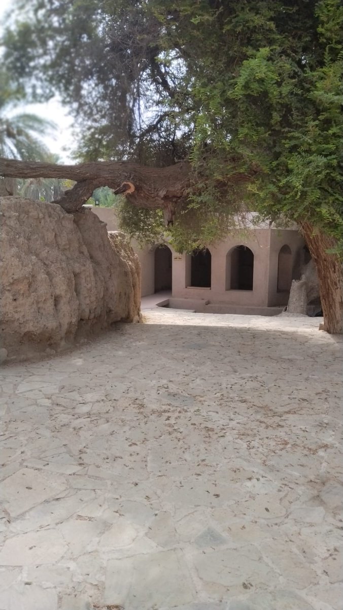 ناصر المعمري ( أبو الأزهر ) tweet media