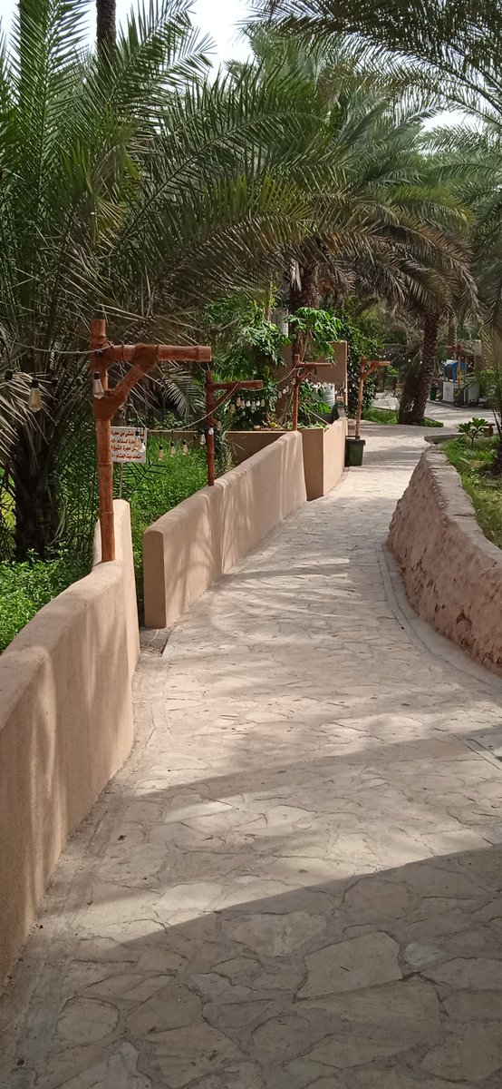 ناصر المعمري ( أبو الأزهر ) tweet media