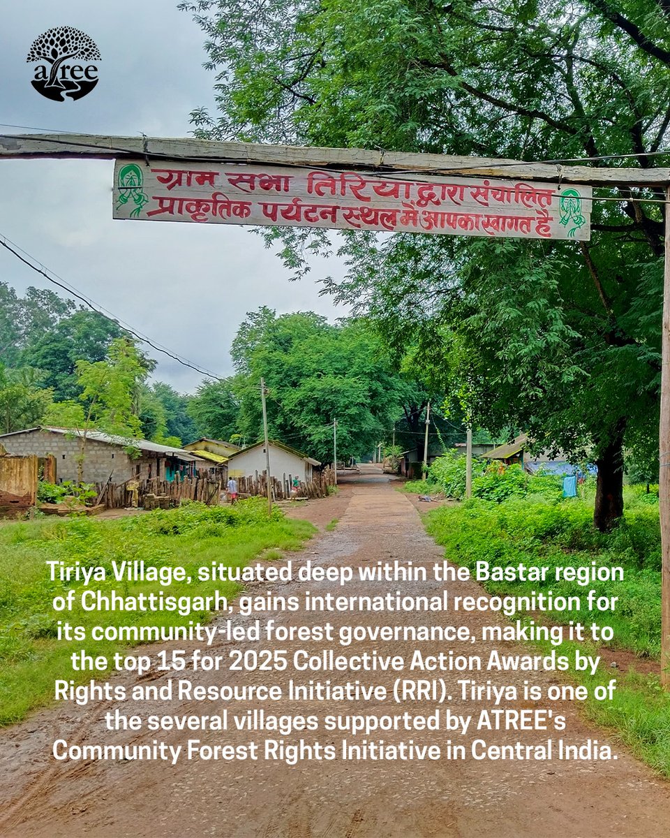 atree_org's tweet image. The community-led forest governance, successfully initiated by Tiriya village, serves as a model example for inclusive, sustainable development rooted in traditional knowledge and collective action. 
Tiriya was recognised as one among the top 15 communities, out of the 190…
