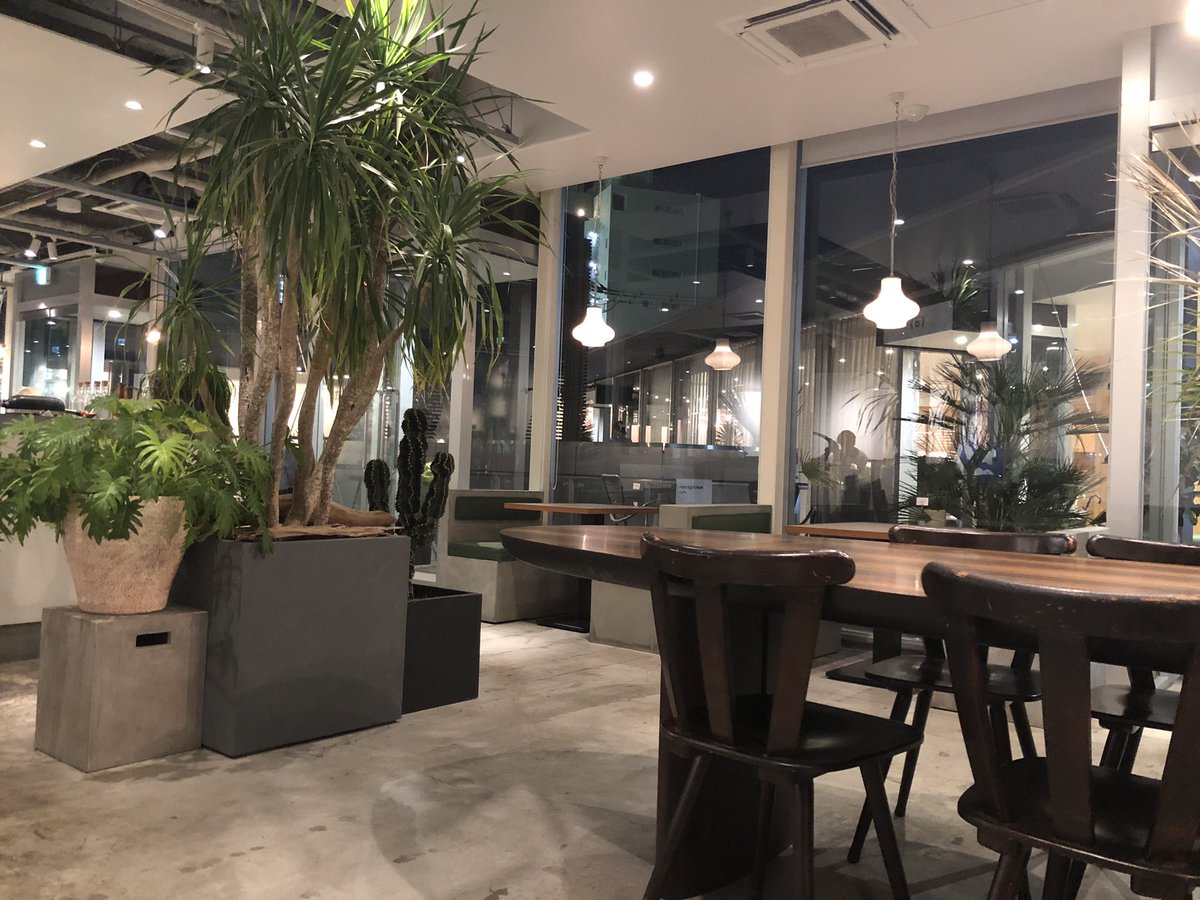 su_pico's tweet image. じうーのゴンゾの斜め上のカフェでだらける