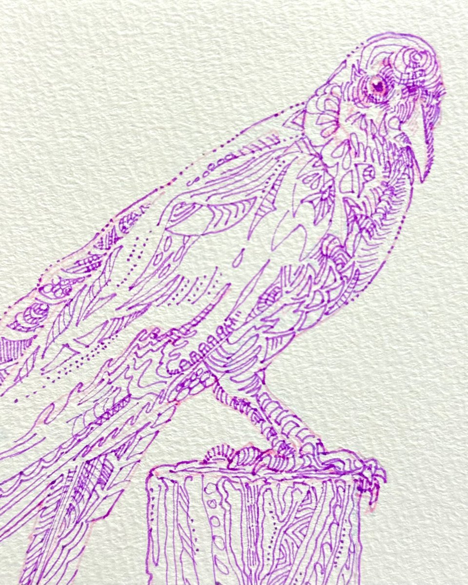 watanabeeee on X: watanabeeee on X: