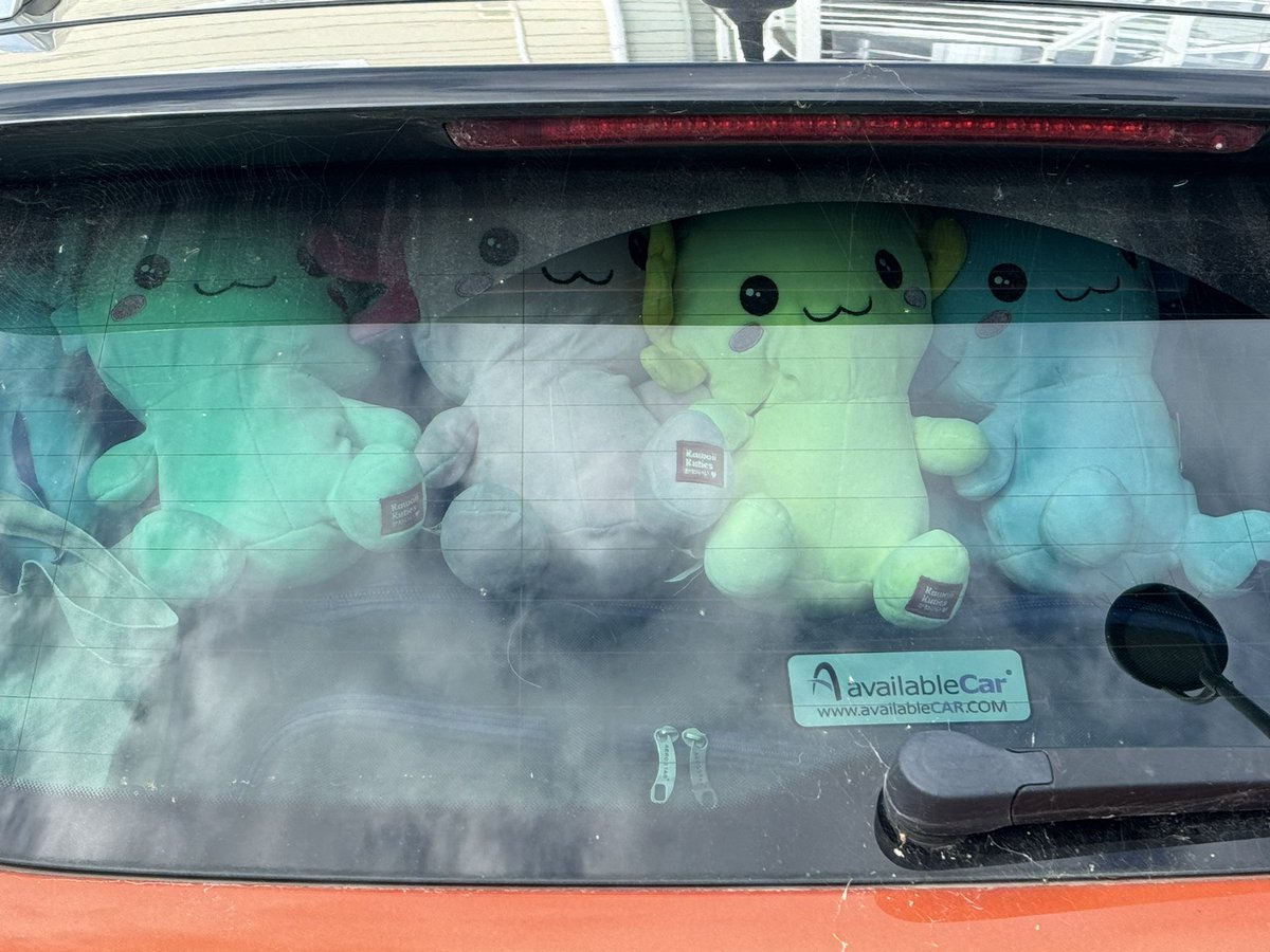 Hippopotamum's tweet image. Our friends for the trip home xx