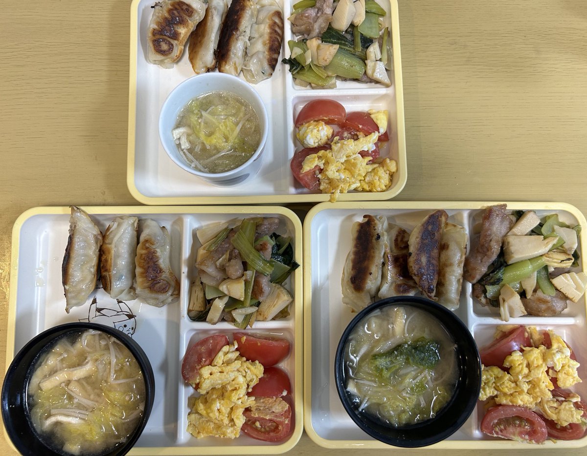 kamiya_chuo's tweet image. 今夜は３人分の夕飯を準備してから夜の予定へ。「野菜多め」というオーダーで青梗菜と白菜を増量してみました。

ご飯／豚肉、筍、青梗菜の中華炒め／餃子／たまごとトマトの炒め物／味噌汁（白菜・えのに・油揚げ）／麦茶

#共働き #二児の父