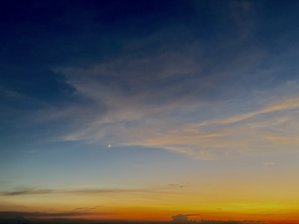 tarusuke_beam's tweet image. 🌙