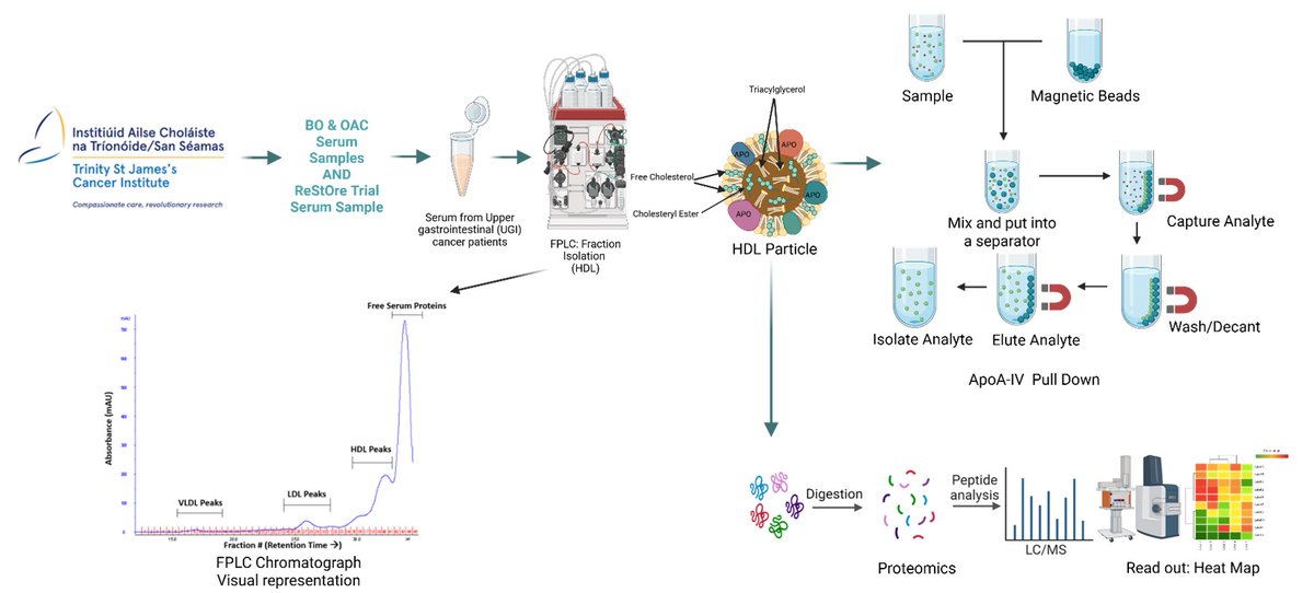 AllCaN_BCR's tweet photo. Could "good" cholesterol help spot early warning signs of oesophageal cancer? 🤔

In her new blog, AllCaN Oesophageal PhD candidate Ms. Pousali Chatterjee (@Poush24) explains how certain HDL particles might play a key role in early detection. 

https://t.co/EYFgna4sui https://t.co/r5ABtdym1u