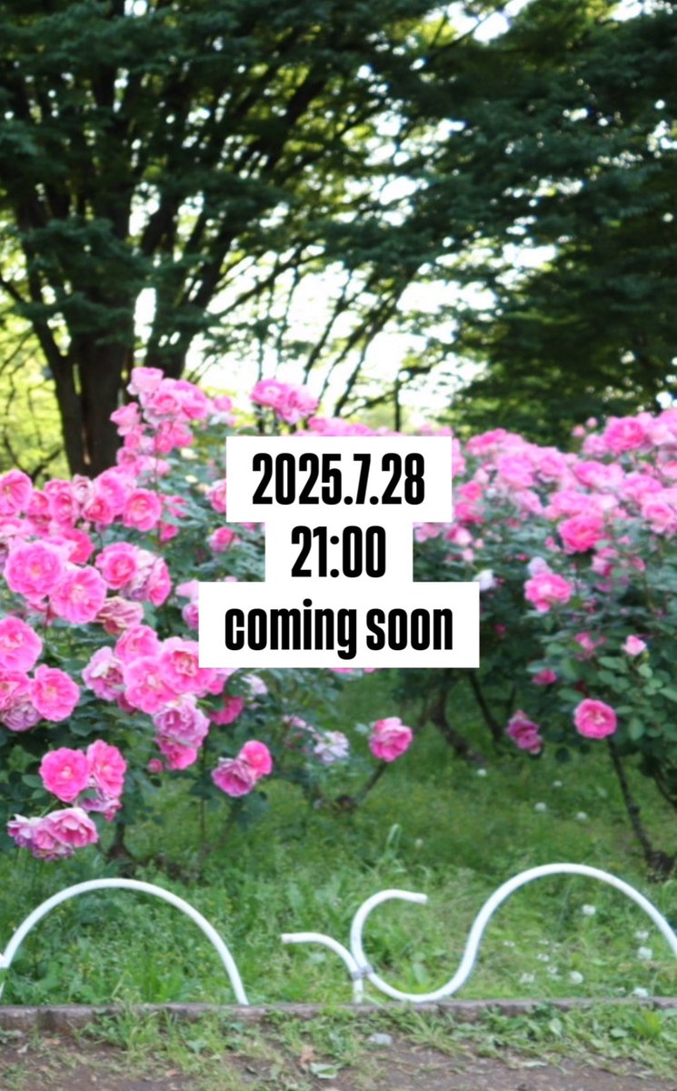 NATURAL AWAKE (@natural_awake) on Twitter photo 