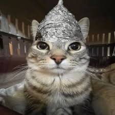 TinHat_Cat's tweet image. Gm