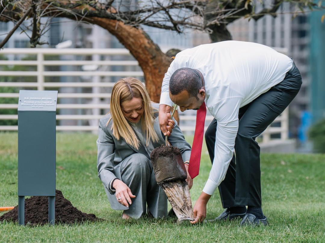 AbiyAhmedAli's tweet photo. As the Second United Nations Food Systems Summit, co-hosted by Ethiopia and Italy, kicked off this morning, I was pleased to be joined by fellow Heads of State and Government in planting our #GreenLegacy seedlings. This symbolic act underscores the vital role of reforestation and environmental stewardship in building resilient and sustainable food systems.