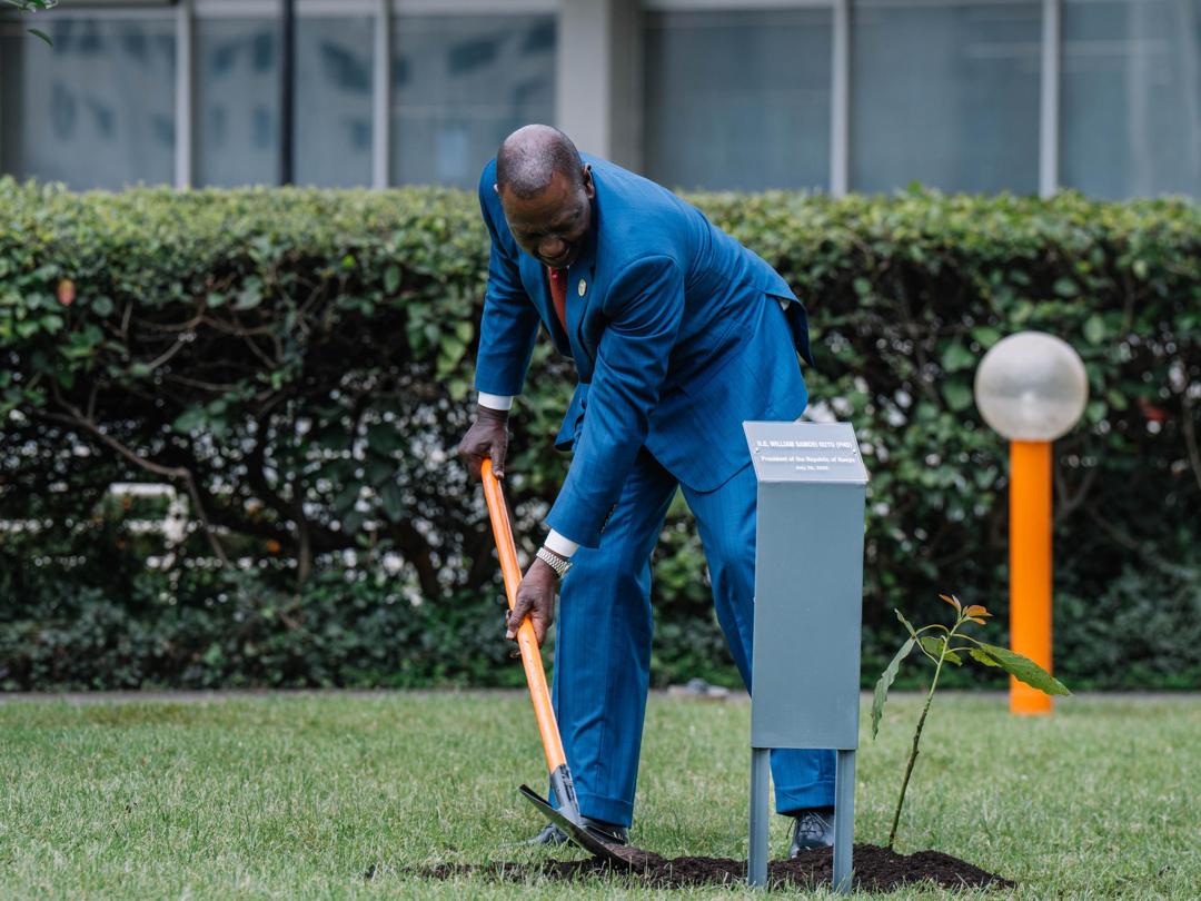 As the Second United Nations Food Systems Summit, co-hosted by Ethiopia and Italy, kicked off this morning, I was pleased to be joined by fellow Heads of State and Government in planting our #GreenLegacy seedlings. This symbolic act underscores the vital role of reforestation and