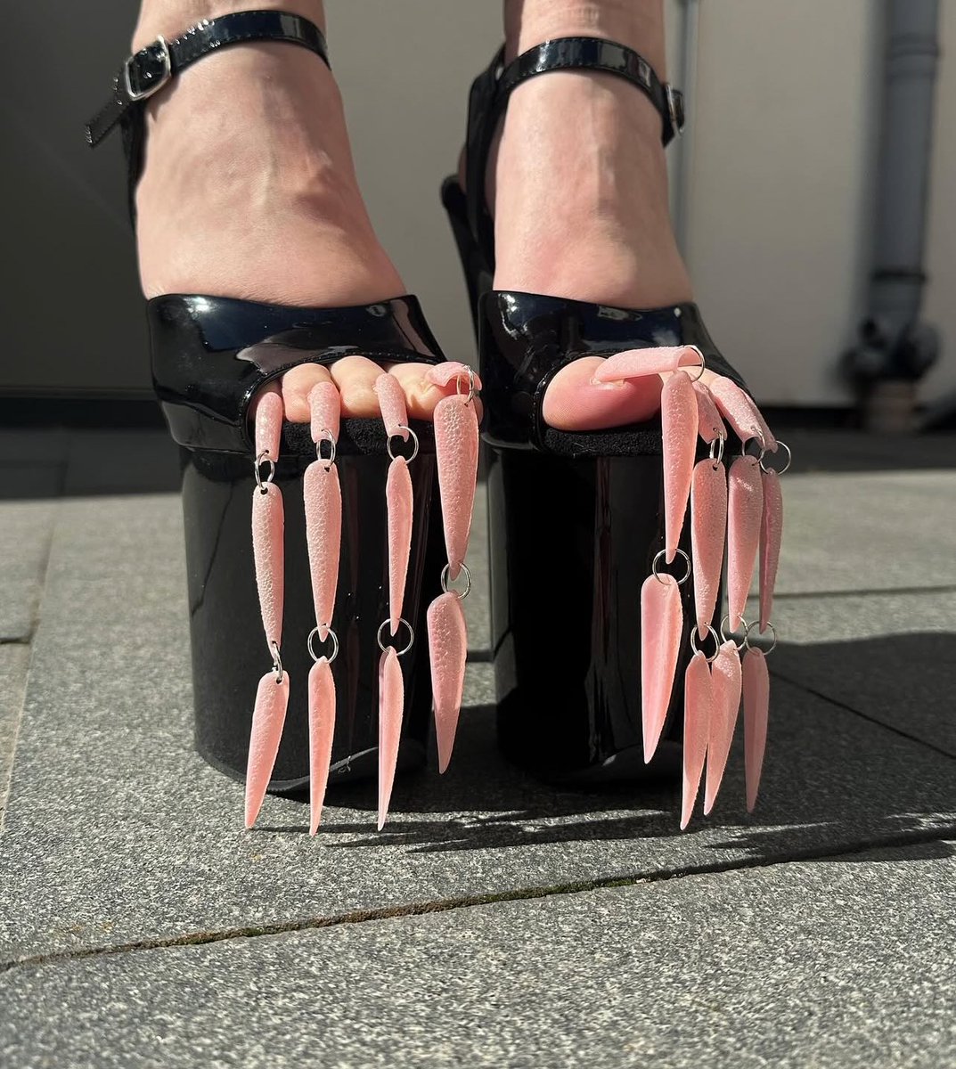 DogHomeFromHome's tweet image. If you haven’t got your toe nail extensions on, is it even Monday?