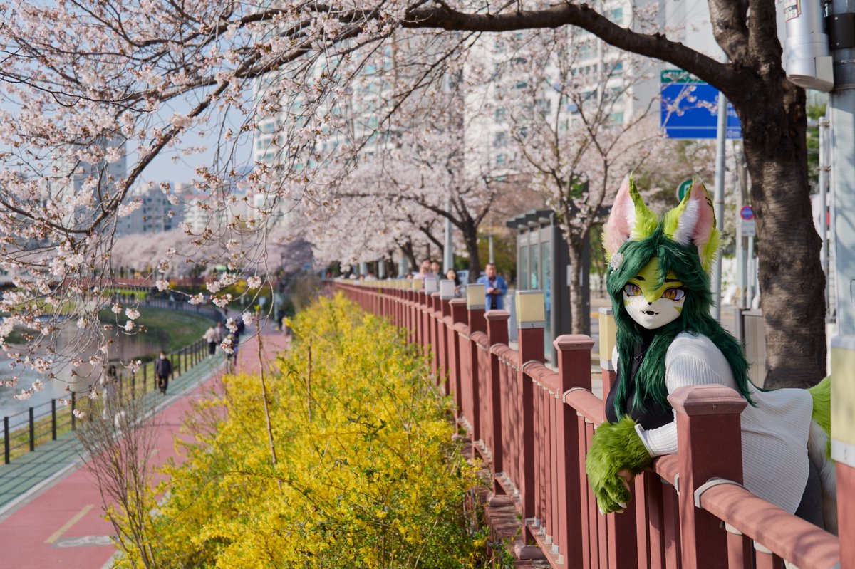 기억해? 나와 함께했던 그날.

📸 : @ guni1636