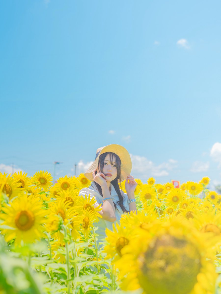 xyzatoganaihito's tweet image. 🌻☀️

　　「ありがとう 伝えたい
                           今なら言えるよ 」

#ポートレート
#カメラ好きな人と繋がりたい