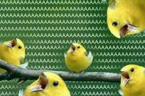 em_dreamy's tweet image. It's time I dust off this reaction pic! THE FEEEEELSSSSSSSS 🎢 THAT'S SAEZURU FOR YOU!!